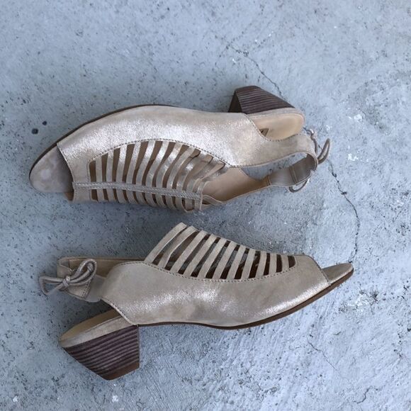 Paul Green  - Picture 2 of 8